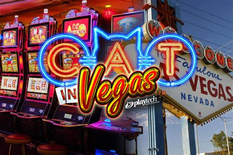 Cat In Vegas brabet